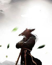 骑士的情书by