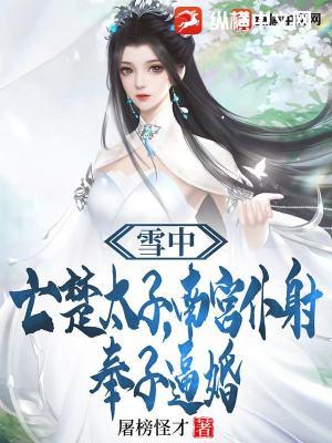 雪中悍刀行南宫仆射第几章