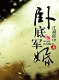 卧底军婚推荐