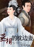 丞相的枕边妻类似