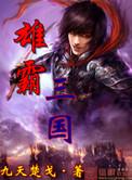 雄霸三国停服公告
