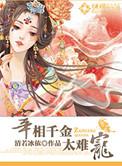 电视剧宰相千金