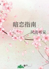 暗恋指南作者风流书呆