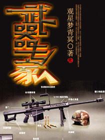 武器专家系统