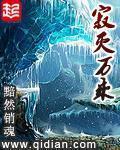 寂灭万乘好看吗