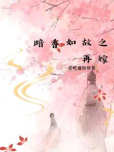 电视剧暗香