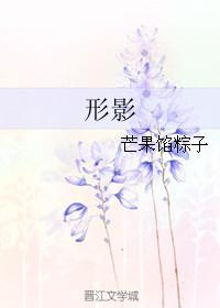 形影成语